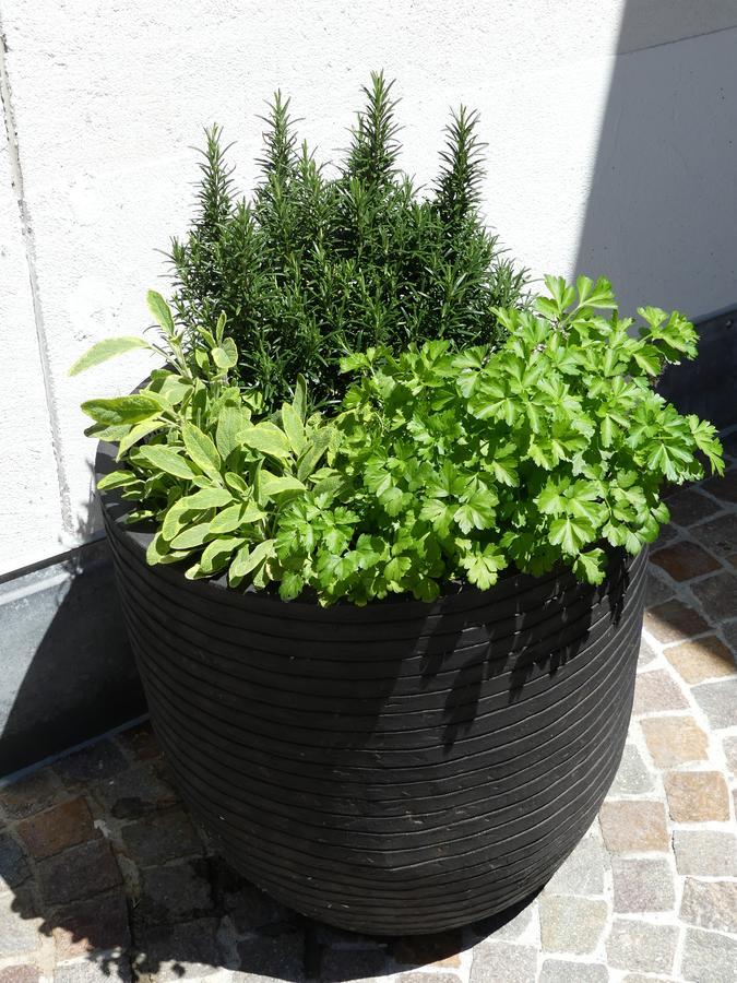 Laagers Garni Samedan